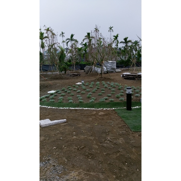 庭園造景施作中,芳禾園園藝