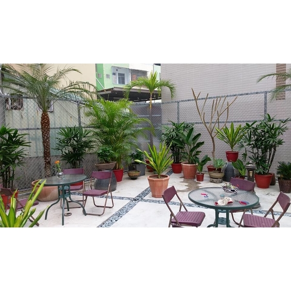 花草樹木種植佈置-芳禾園園藝