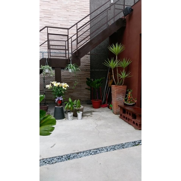 花草樹木種植佈置-芳禾園園藝