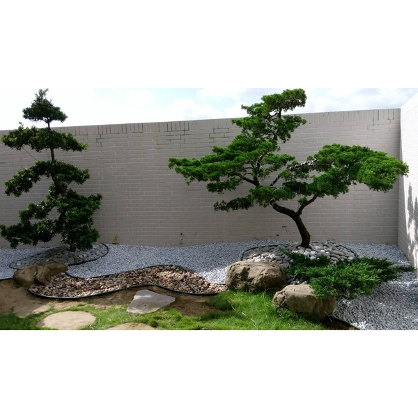 庭院景觀工程,芳禾園園藝
