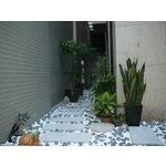 戶外庭園景觀設計