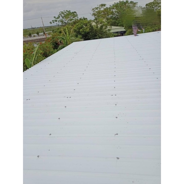 貨櫃屋搭建鐵皮屋（五溝清板）