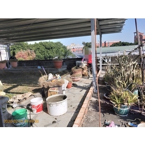 頂樓加蓋