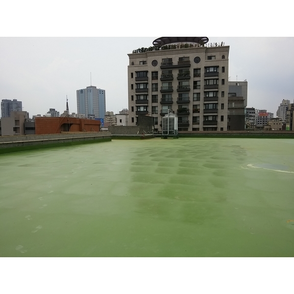 國中聚脲施作,沅欣工程有限公司