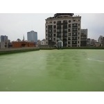 國中聚脲施作 - 沅欣工程有限公司