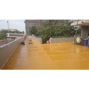 新竹學校聚脲施作