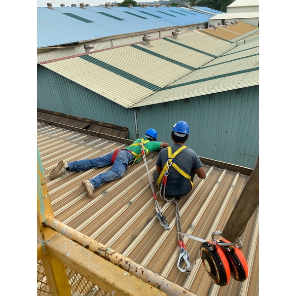 屋頂浪板保養抓漏工程
