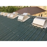 彰化田中別墅育樂室-琉璃瓦型 - 全方位工程行