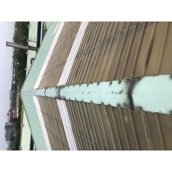 桃園勝昌製藥 220V動力型+自然通風