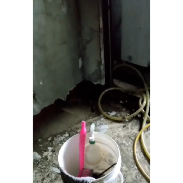 火災後房屋清潔 火災後房屋清潔,良美清潔服務社