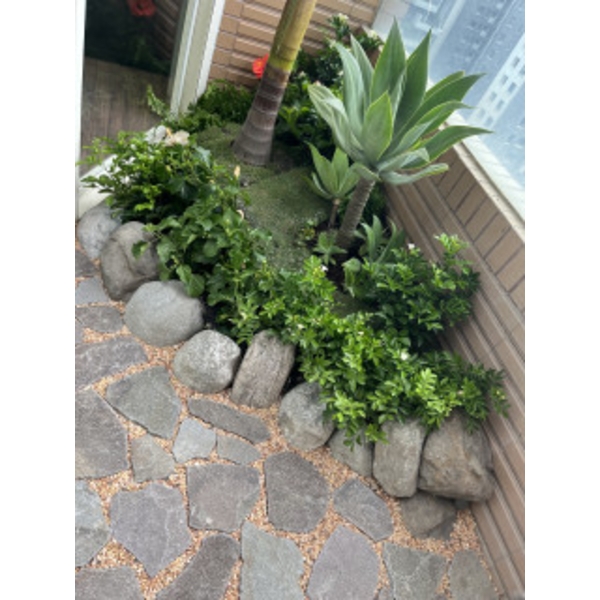 西向陽台簡約風尚