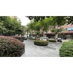 綠籬修剪 - 朵森綠美化工作室