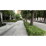 前院維護成果 - 朵森綠美化工作室