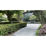 後院維護成果 - 朵森綠美化工作室