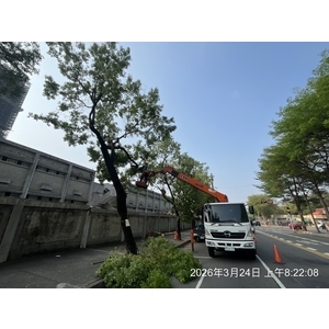 行道樹移除種植