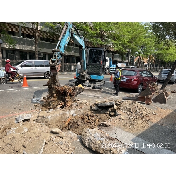 行道樹移除種植