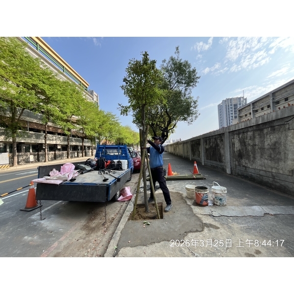 行道樹移除種植-朵森綠美化工作室