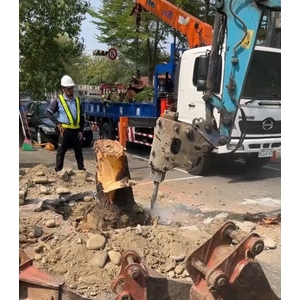 行道樹移除種植