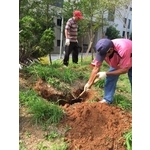 植栽維護施工 - 朵森綠美化工作室