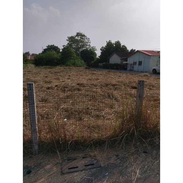 除草工/割草工-德昌工程企業公司