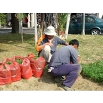 園藝整理／樹木修剪