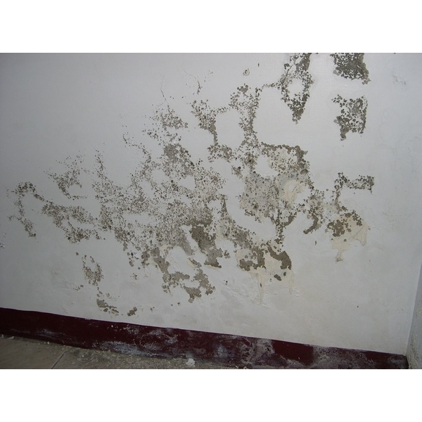 壁癌處理前-德昌工程企業公司