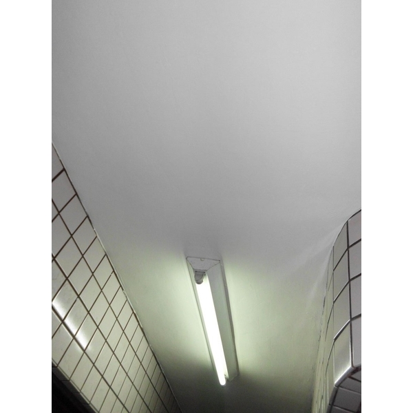 壁癌處理後,德昌工程企業公司