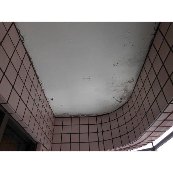天花板壁癌處理前,德昌工程企業公司