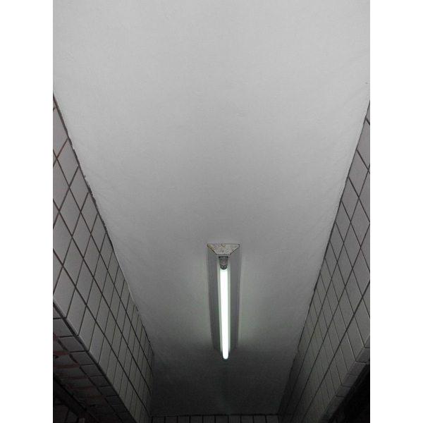 天花板壁癌處理後,德昌工程企業公司