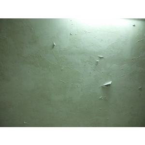 浴室天花板壁癌處理前