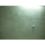 浴室天花板壁癌處理前 - 德昌工程企業公司