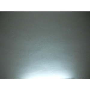 浴室天花板壁癌處理後