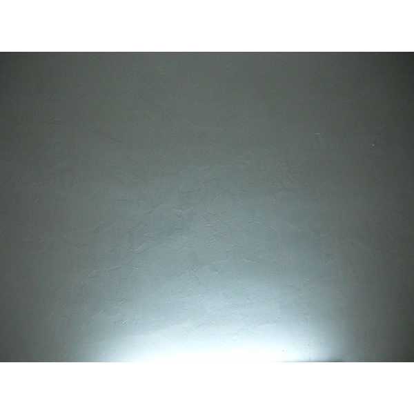 浴室天花板壁癌處理後,德昌工程企業公司