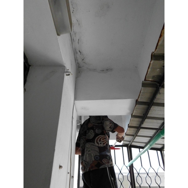 陽台壁癌處理中,德昌工程企業公司