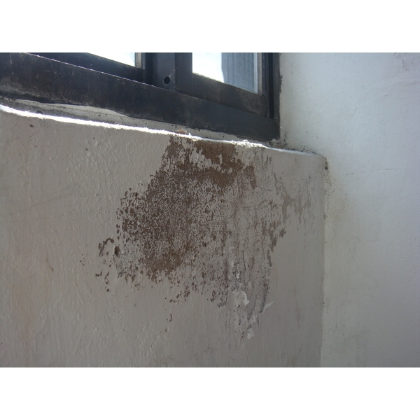 壁癌處理前-德昌工程企業公司