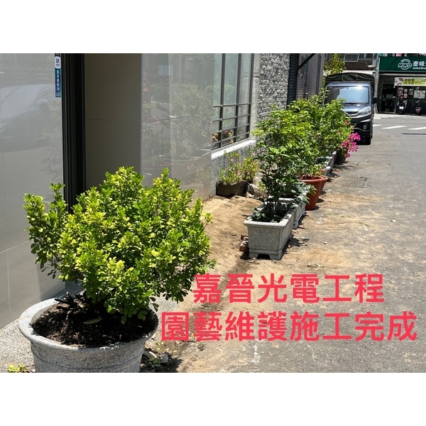 園藝維護施工-嘉晉光電工程企業行