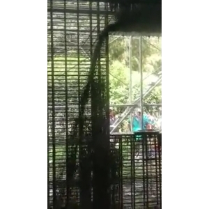 太陽能鋼構工程