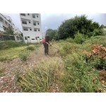 割草 - 誠益園藝有限公司