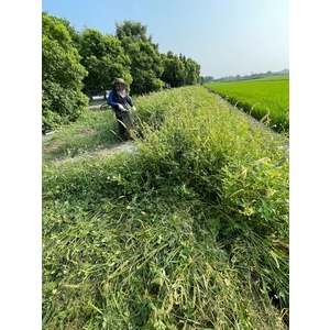 割草