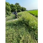 割草 - 誠益園藝有限公司