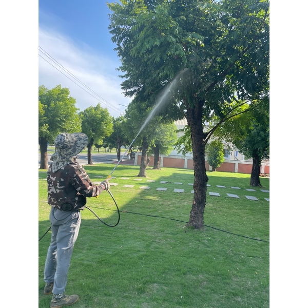 噴植樹病蟲害,誠益園藝有限公司