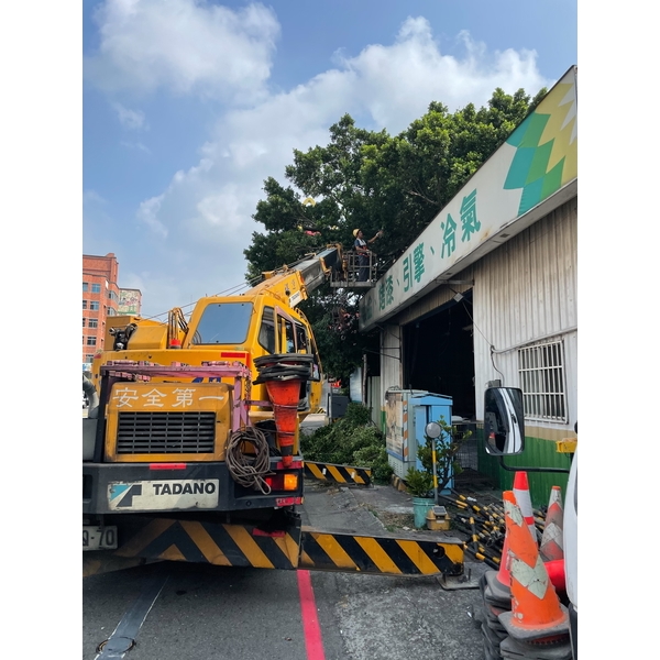 鋸樹,誠益園藝有限公司