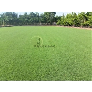 台北草皮,川井景觀設計有限公司