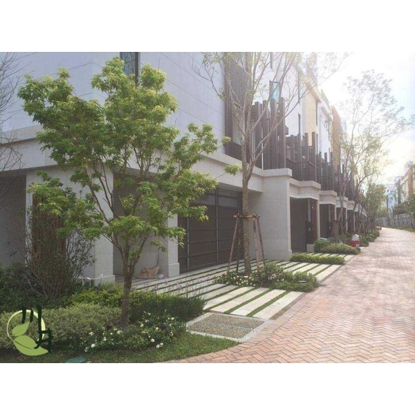 台南翡翠第三期-川井景觀設計有限公司