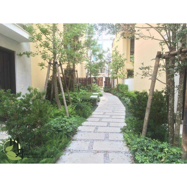 台南翡翠第三期 台南翡翠第三期,川井景觀設計有限公司