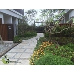 台南翡翠第三期