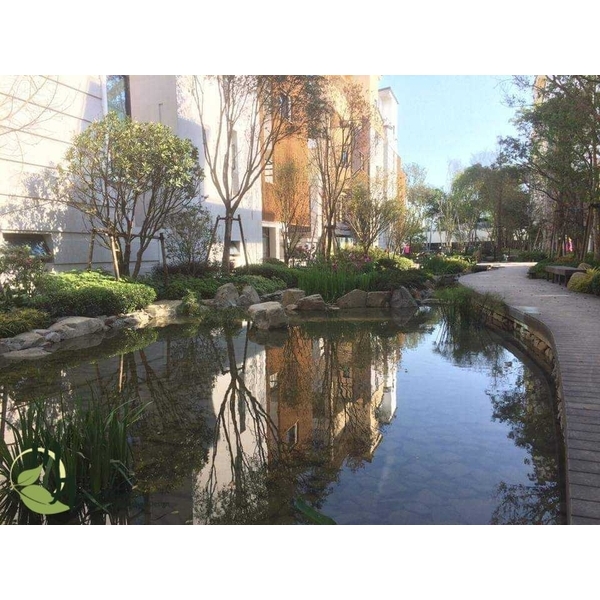 台南翡翠第三期 台南翡翠第三期-川井景觀設計有限公司