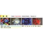 樹燈 , 金昕土木包工業