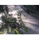 戶外降溫造景 - 欣旺設計有限公司