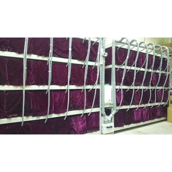 牛樟菇房加濕-欣旺設計有限公司